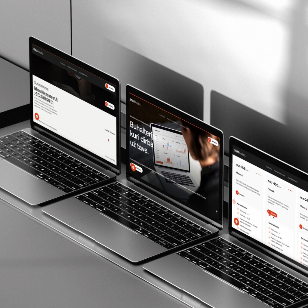 Nauja BNM Assist svetainės versija